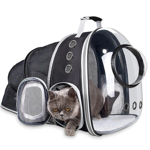 Transparent Bubble Pet Backpack — Hands-Free Travel