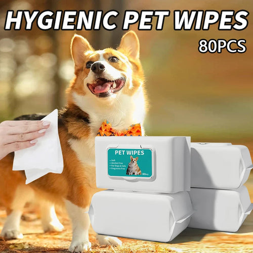 Pure Water Pet Wipes — Gentle Daily Cleaning