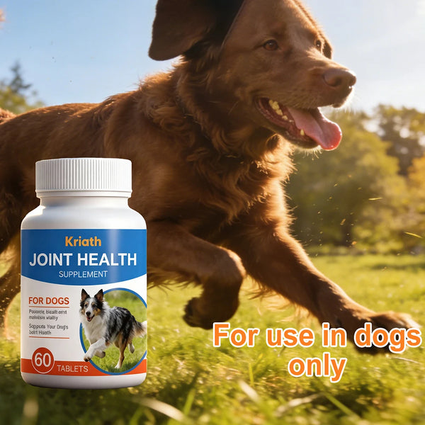 Dog Joint Supplement Chews Glucosamines Supplement For Dogs Hip And Joint Enhances Mobility For Active And Senior Dogs Supply