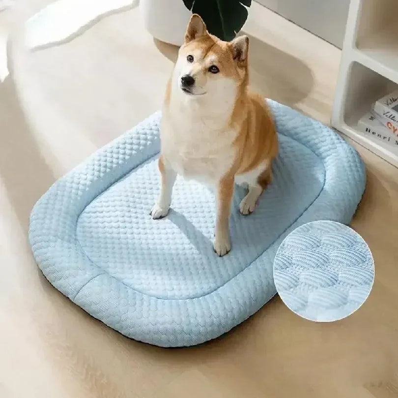 1PCS Summer Dog Bed Cat Cushion Puppy Sleep Nest f — THee Store Pet Beds