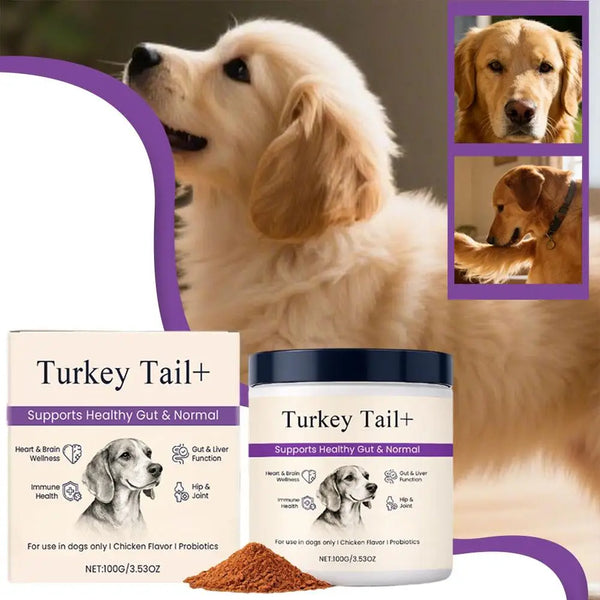 Dog Probiotic Intestinal Powder Gut Care Digestive Health Immune Support Chicken Beef Flavor Pet Nutrition Supplement