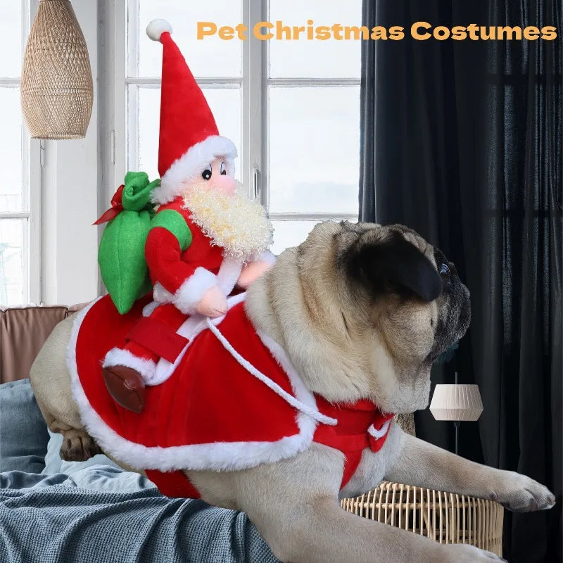 Pet wearing festive reindeer costume with antlers and red accents for holiday celebrations