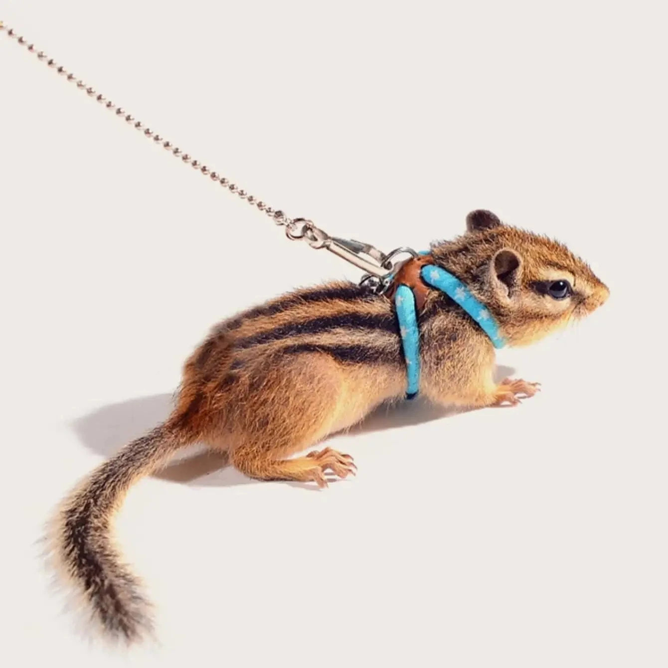 1pc-Small Pet Harness And Leash Set - Secure Comfo — THee Store Pet Collars