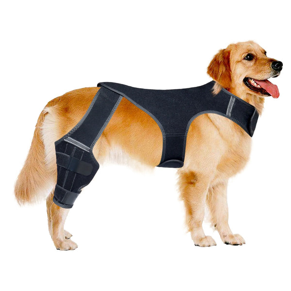 Adjustable Dog Knee Brace Breathable Durable Leg Support Bracket Reflective Design Joint Support Pet Knee Wound Protection