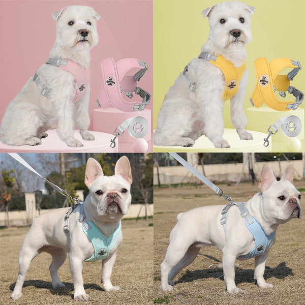 Breathable Reflective Dog Harness & Leash Set