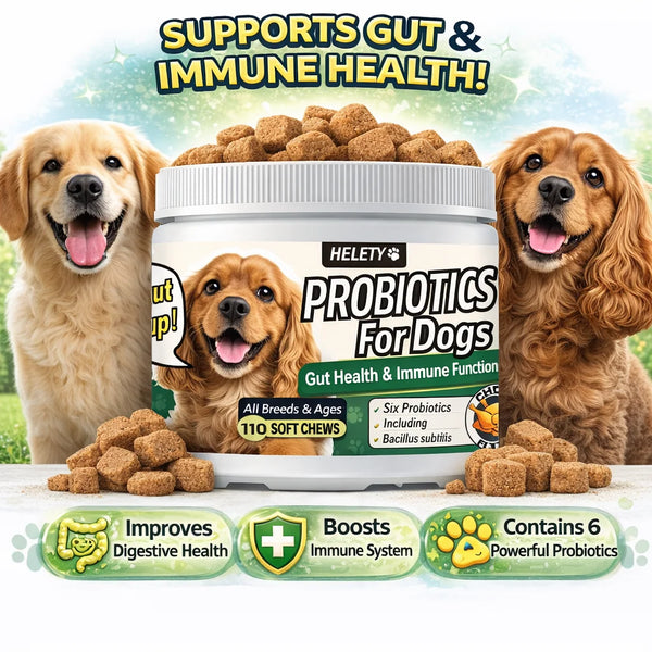 Probiotics for Dogs Digestive Health Soft Chews with Pumpkin & Fish Oil 120 Count Gut Health Itchy Relief Dog Probiotic Suppleme