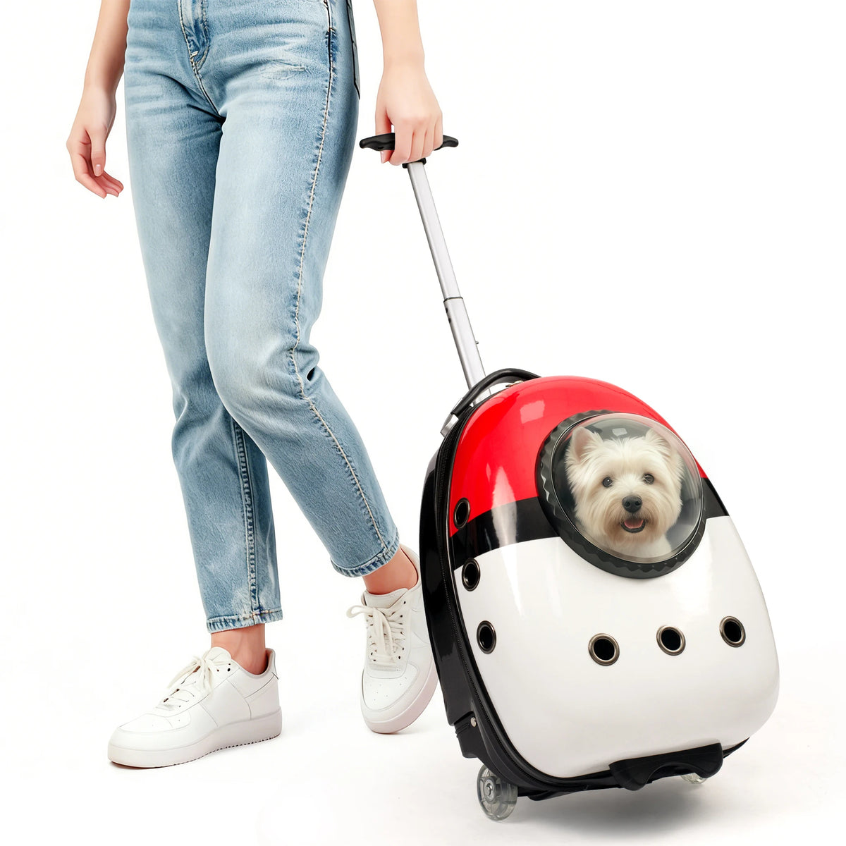 2 in 1 Cat Carrier Backpack Suitcase for Cats Dogs Small Puppy Outdoor Breathable Knapsack for Hiking Traveling