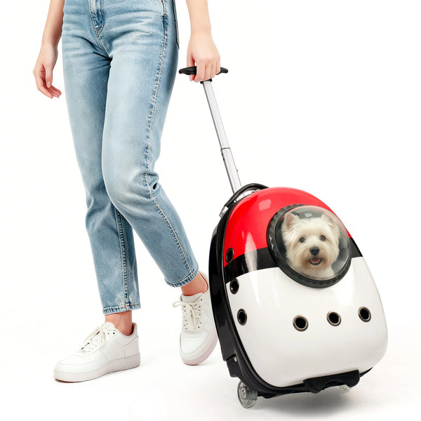 2 in 1 Cat Carrier Backpack Suitcase for Cats Dogs Small Puppy Outdoor Breathable Knapsack for Hiking Traveling