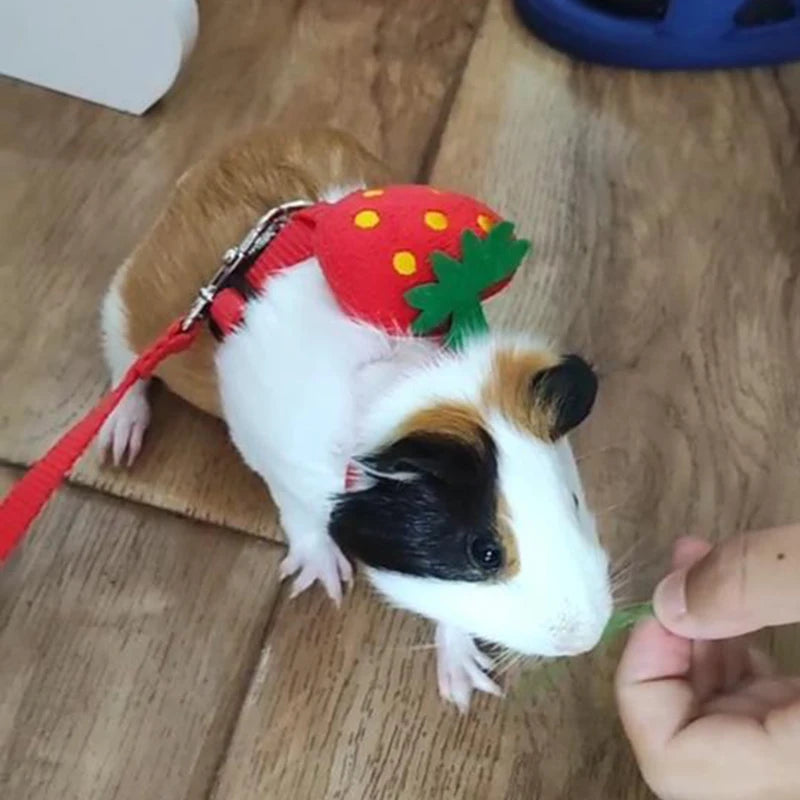 Small animals walking rabbit and guinea pig harness Cute pet rabbit harness and leash set