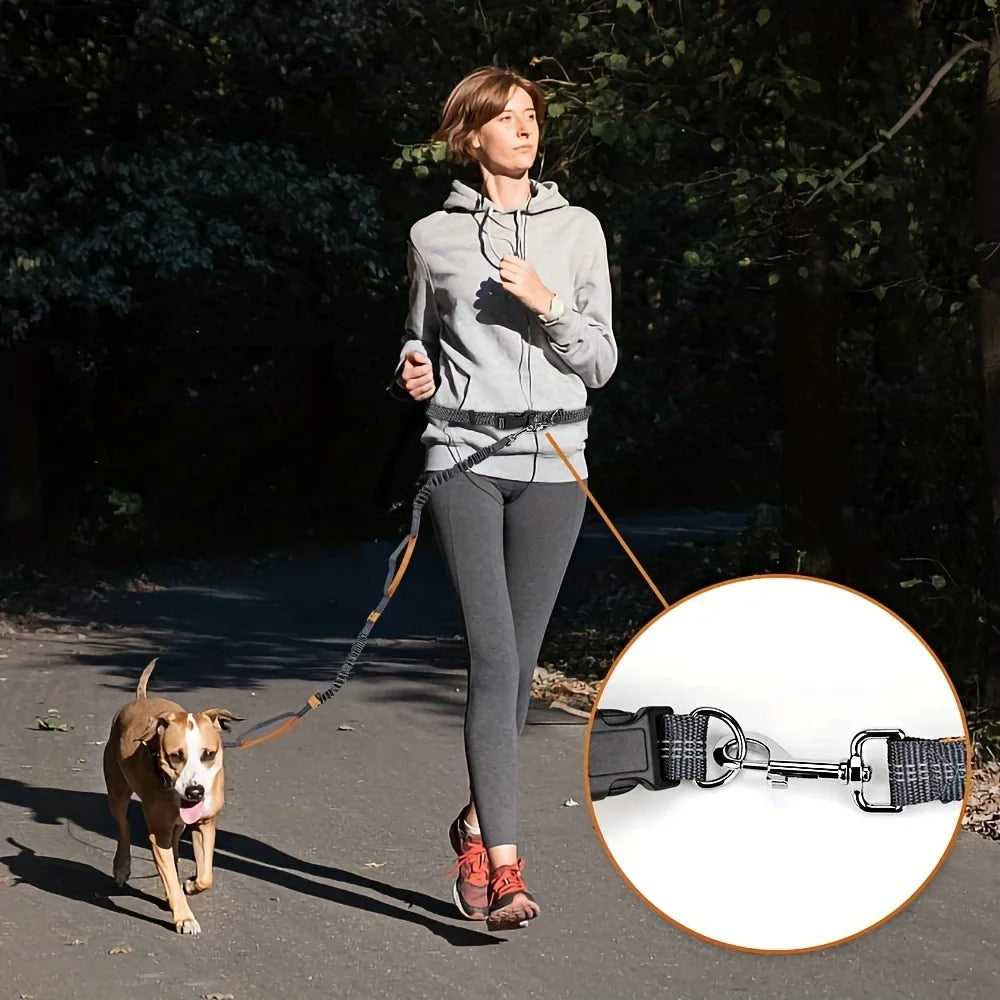 Black nylon hands-free waist leash with retractable cord and adjustable waist strap for dogs