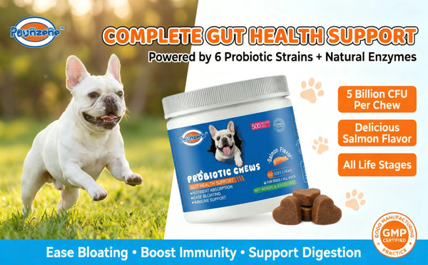 【100 Chews】Probiotics for Dogs-  - Relieve stomach sensitivity and dog gut health probiotics - Digestive Remedies