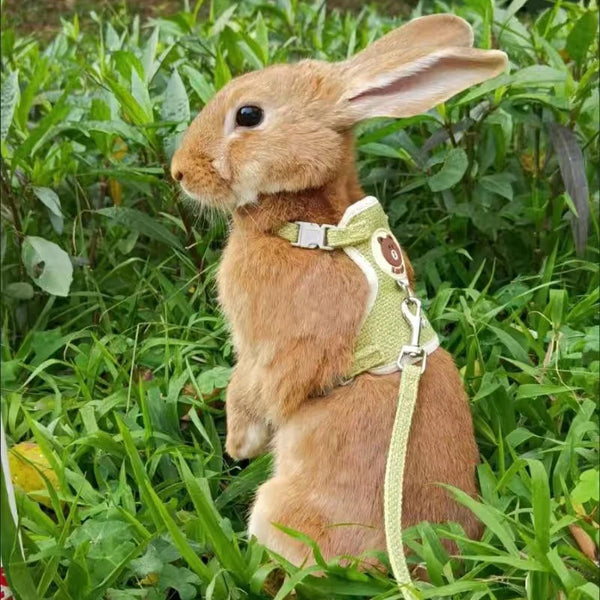 Cute Rabbit Harness and Leash Set, Rabbit Pet Accessories, Vest-Style Harness, Rabbit Leash, Outdoor Walking