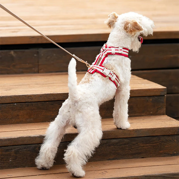 Adjustable Dog Y-shaped Pet Chest Back With Reflective Strape Without Rope Soft Dog Pet Harness For Puppy Outdoor Supplies