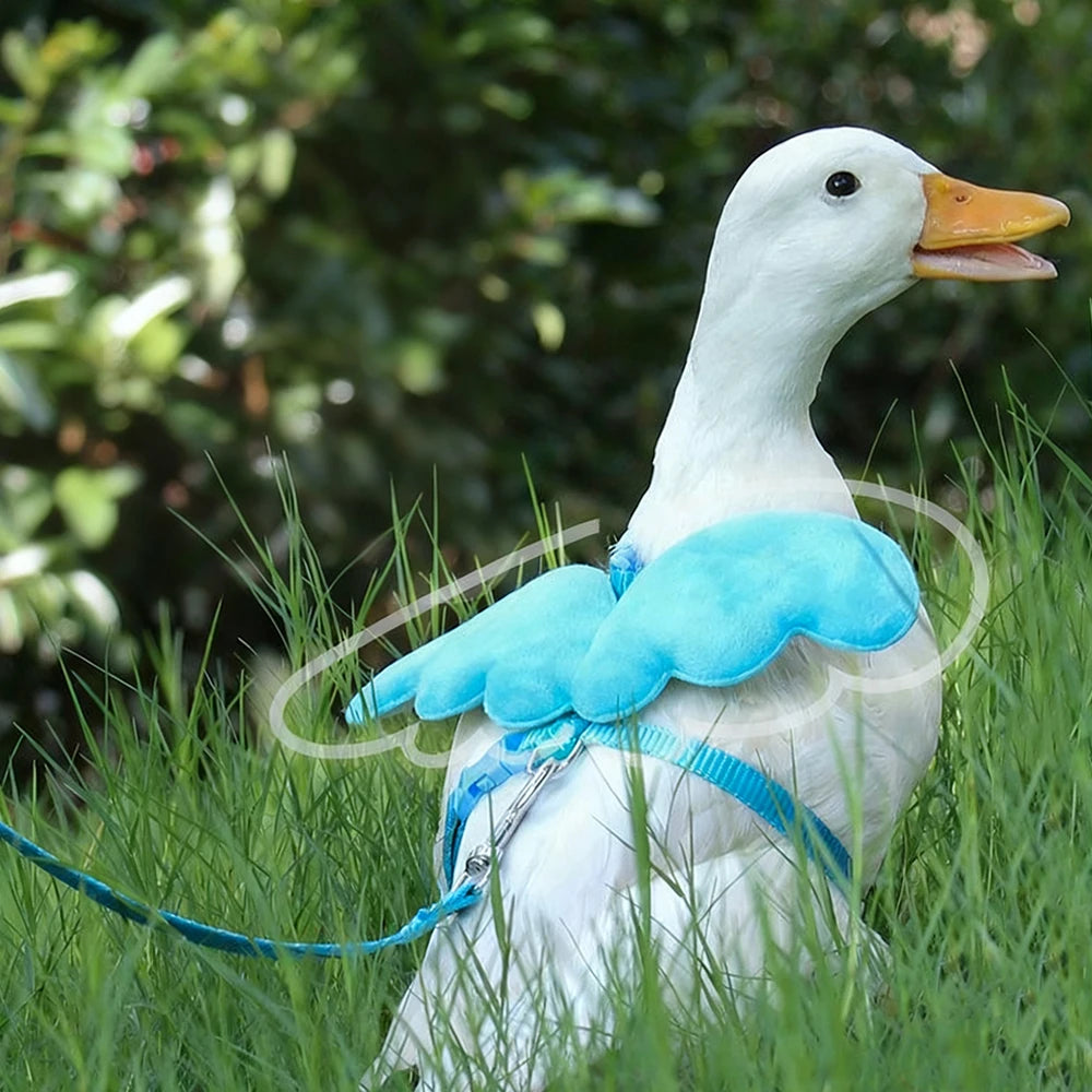Angel Pet, Callduck Harness Leash, suitable for cats, rabbits, Callduck, pet chickens, turtles, small pet harness, gift