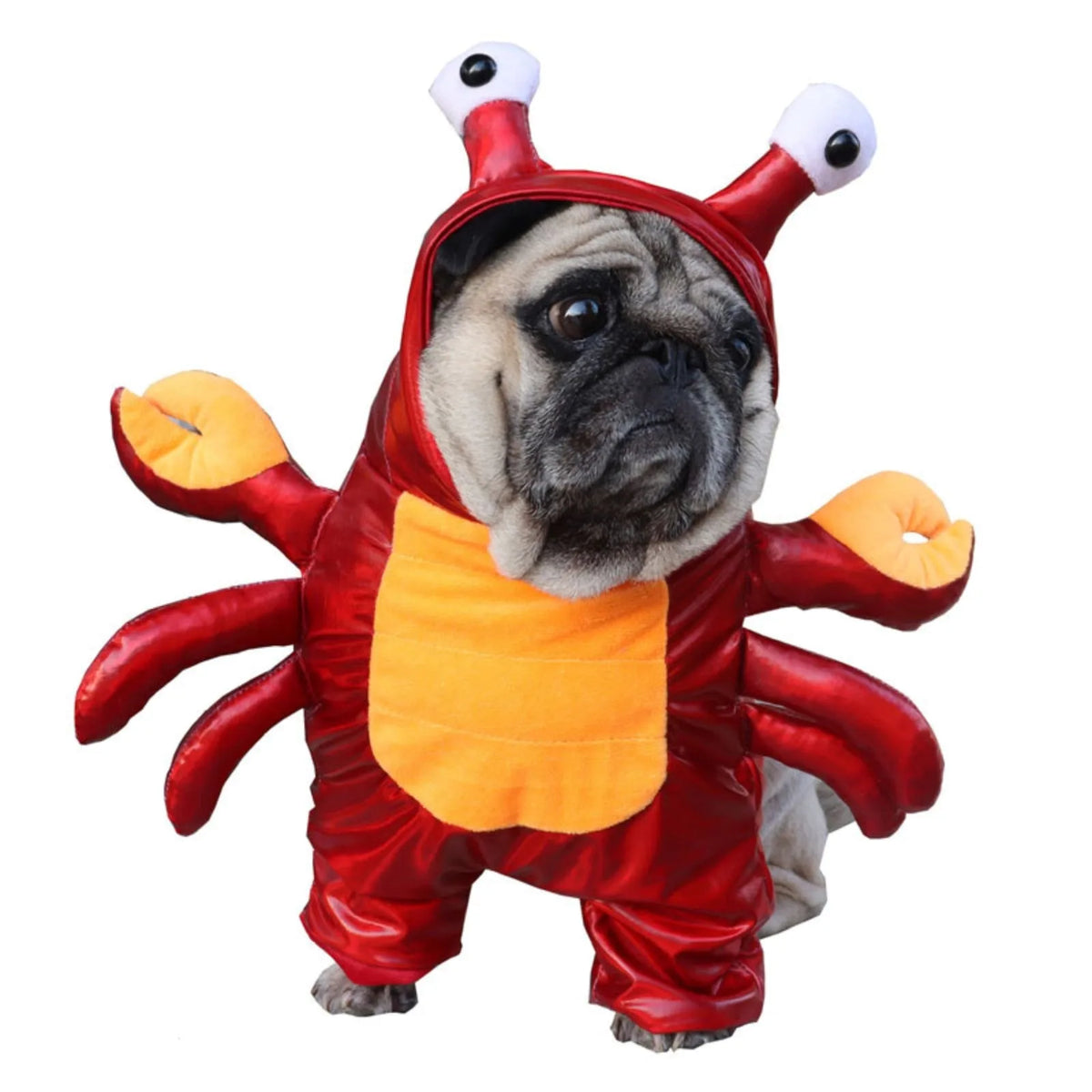 Funny Halloween Dog Cat Crab Pet Cosplay Costume Winter Pet Hoodie Bulldog Apparel Cat Suit Puppy Clothes for Small Medium Dogs