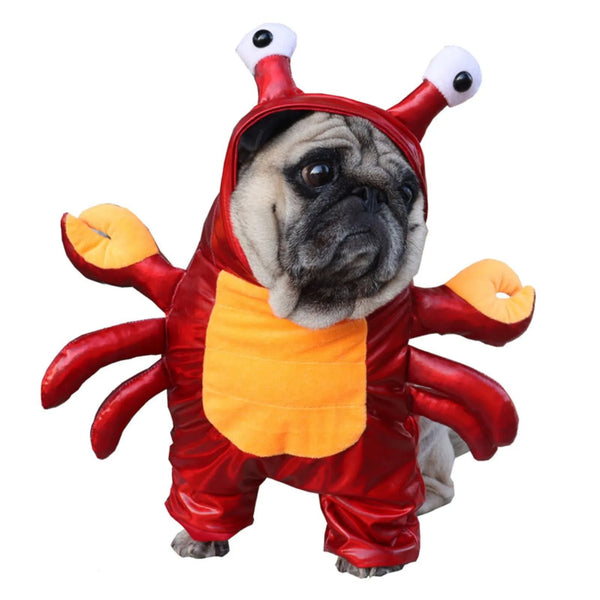 Funny Halloween Dog Cat Crab Pet Cosplay Costume Winter Pet Hoodie Bulldog Apparel Cat Suit Puppy Clothes for Small Medium Dogs
