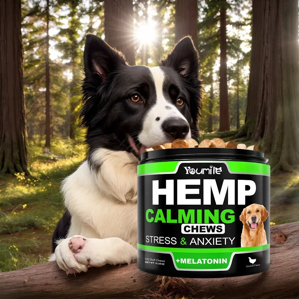 [120 Chews]Dogs Hemp Calming Chews | Noise Phobia & Anxiety Relief-Travel Stress Support-Dog Melatonin-Dog sleep Aid