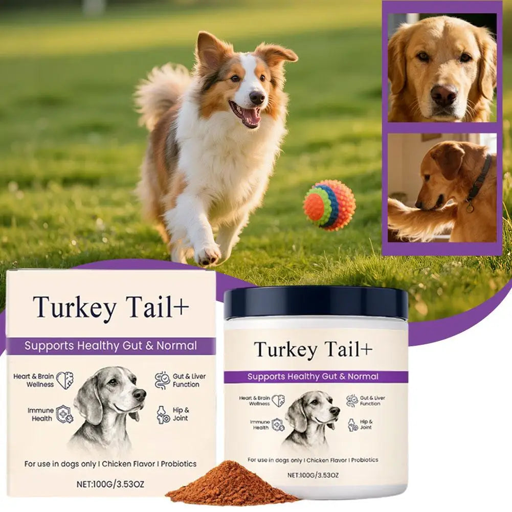 13PCS Dog Gut Health Powder 100g Probiotic Intesti — THee Store Pet Health