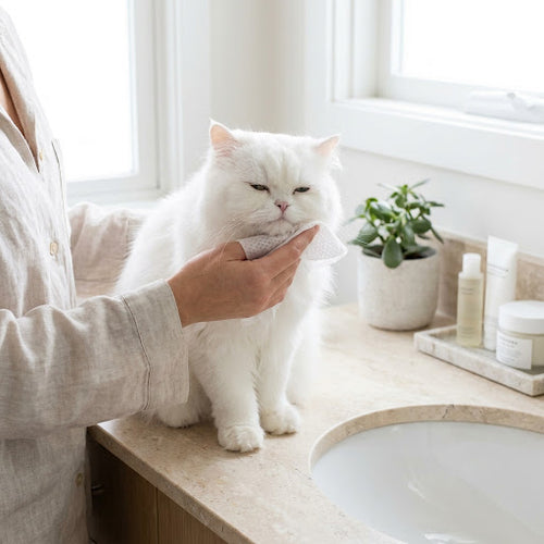 Alcohol-Free Pet Wipes — Sensitive Skin Care