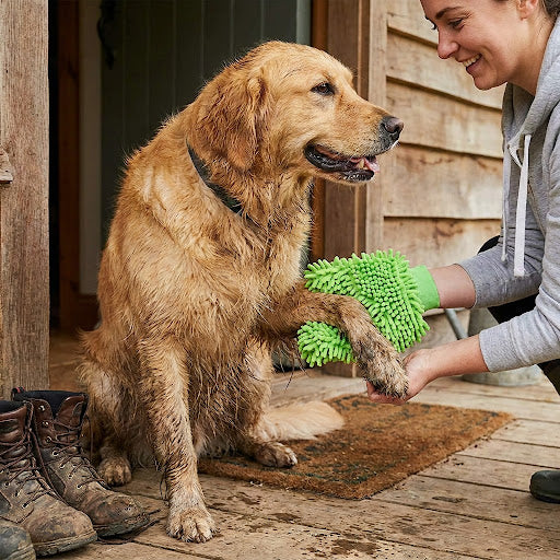 Hand wearing textured bath glove wiping small dog's fur during grooming session.