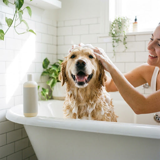 Gentle Pet Shampoo — Nourish & Deodorize