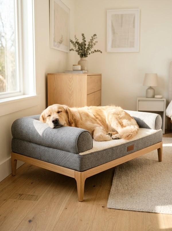 Elevated Orthopedic Dog Bed — Washable Bolster Support